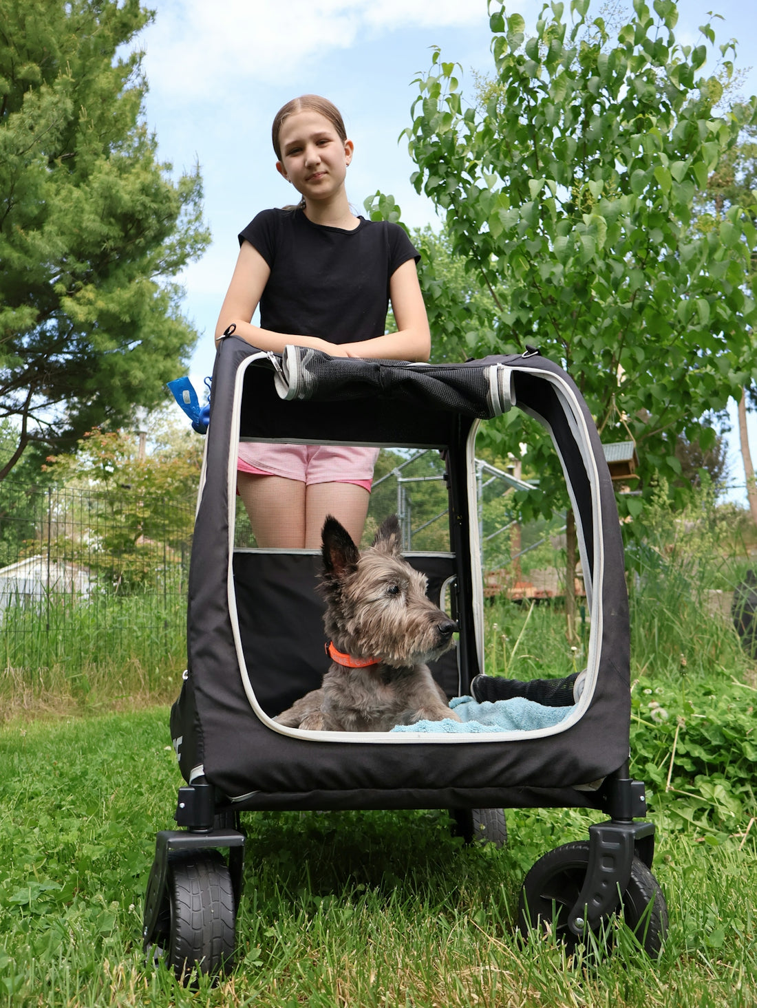 Young girl and dog in pet stroller outside.
