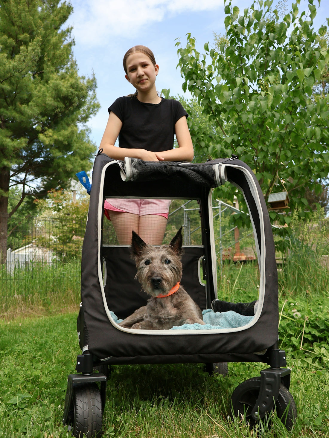 Young girl stands with dog in pet stroller outdoors.