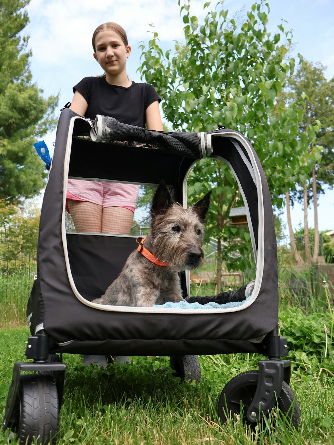 A girl pushes a dog in a pet stroller outdoors.