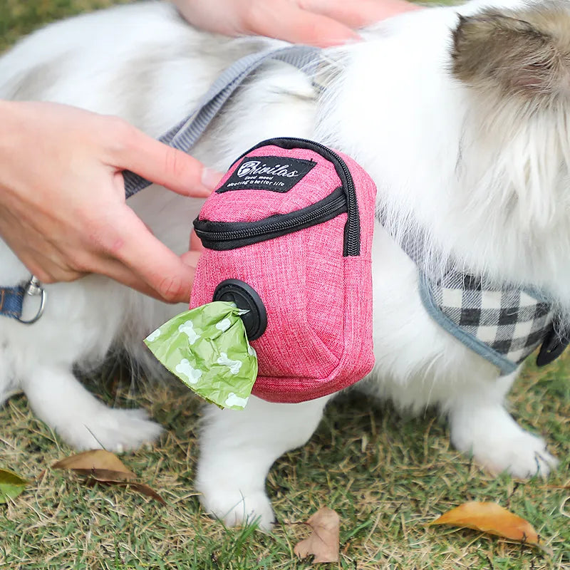 Fashion Pet Carrier Tote Bag