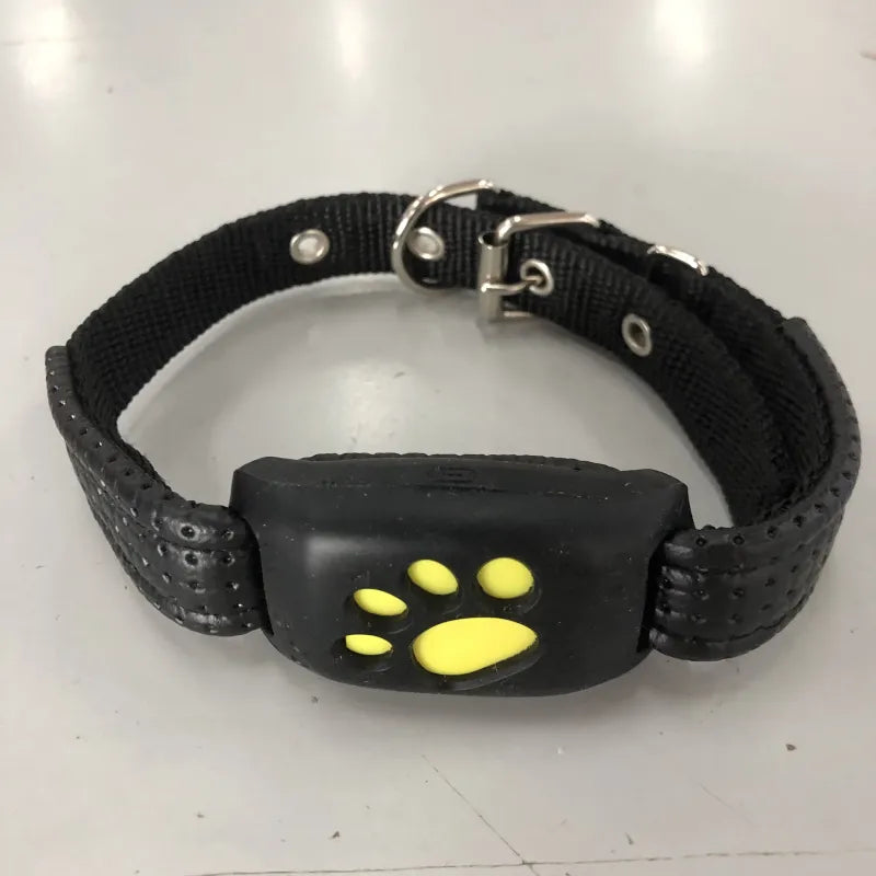 Pet Travel Essentials Bundle