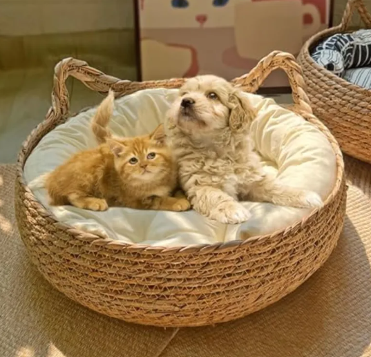 Handmade Woven Cat Bed
