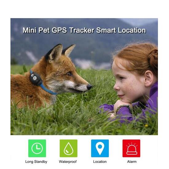 Pet GPS Tracking Collar