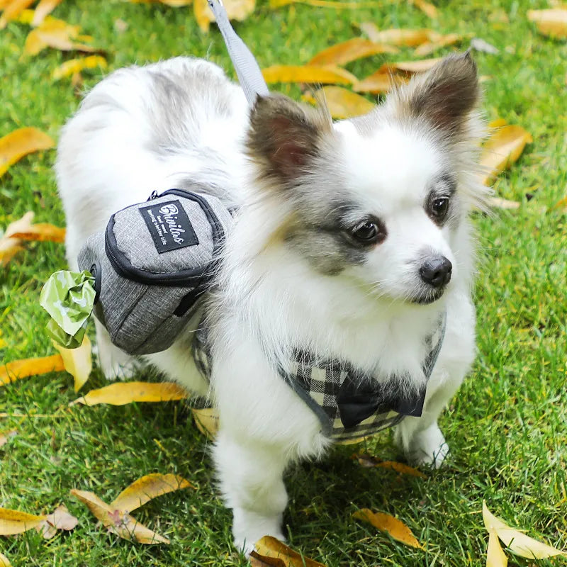 Fashion Pet Carrier Tote Bag