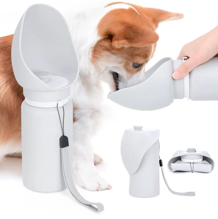 Pet Travel Essentials Bundle