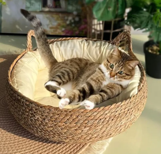Handmade Woven Cat Bed