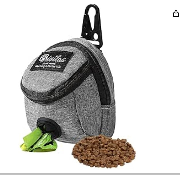 Fashion Pet Carrier Tote Bag