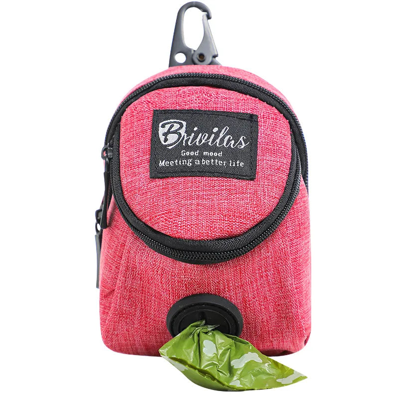 Fashion Pet Carrier Tote Bag